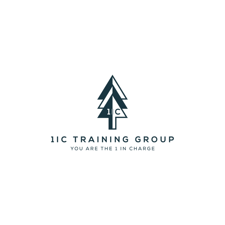 1IC