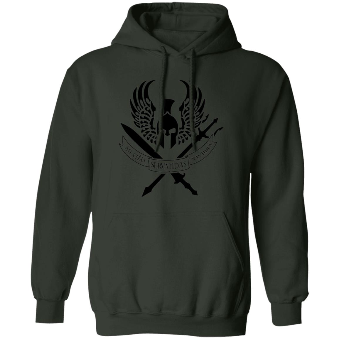 Region 1 Black Logo Deluxe Pullover Hoodie